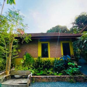 รูปภาพที่ 4