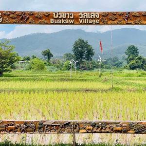 รูปภาพที่ 4