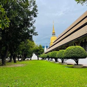 รูปภาพที่ 7