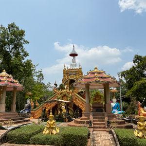 รูปภาพที่ 8