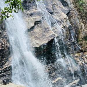 รูปภาพที่ 4
