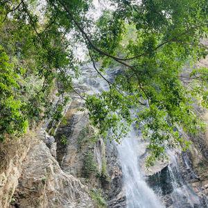 รูปภาพที่ 3