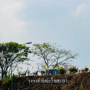 รูปภาพที่ 9