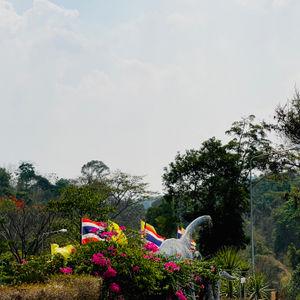 รูปภาพที่ 8