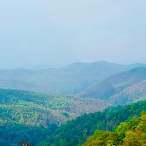 รูปภาพที่ 7