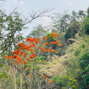 รูปภาพที่ 4