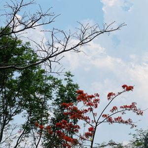 รูปภาพที่ 3