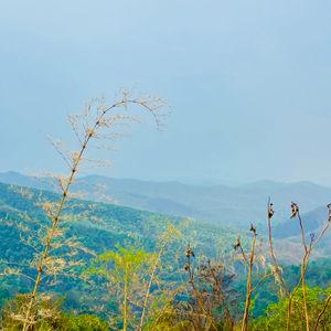 รูปภาพที่ 1