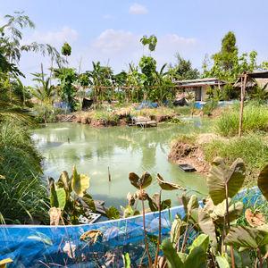 รูปภาพที่ 6