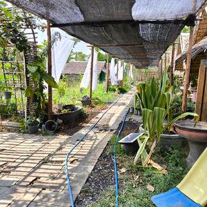 รูปภาพที่ 5