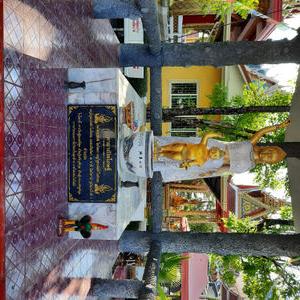 รูปภาพที่ 9