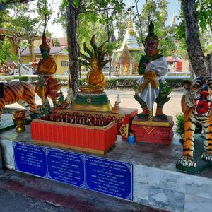 รูปภาพที่ 8