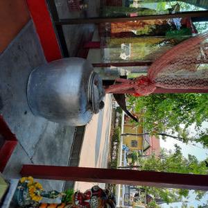 รูปภาพที่ 5