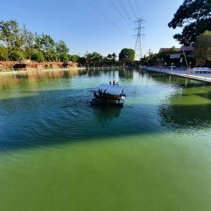 รูปภาพที่ 1