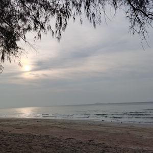 รูปภาพที่ 2