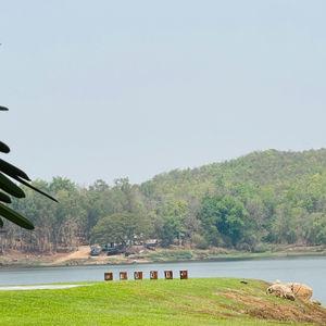 รูปภาพที่ 4