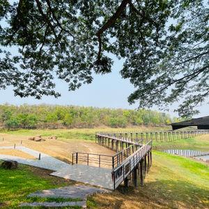 รูปภาพที่ 3