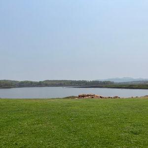 รูปภาพที่ 2