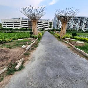 No. 6