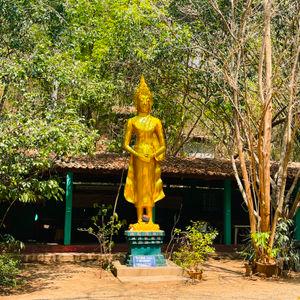 รูปภาพที่ 6