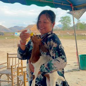 รูปภาพที่ 3
