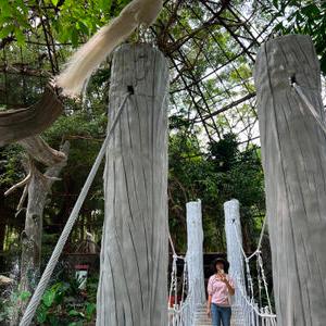รูปภาพที่ 4