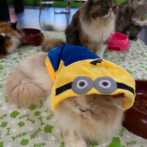 รูปภาพที่ 2