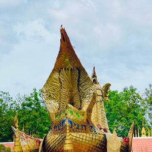 รูปภาพที่ 5