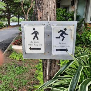 编号6