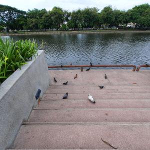 编号2