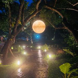 รูปภาพที่ 4