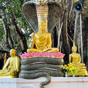รูปภาพที่ 5