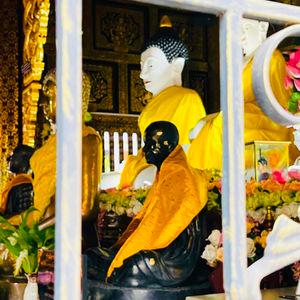 รูปภาพที่ 8