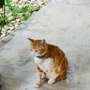 รูปภาพที่ 3
