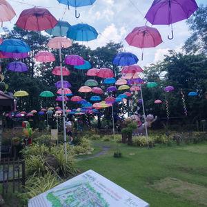 รูปภาพที่ 1