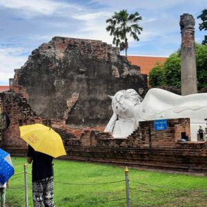 รูปภาพที่ 8