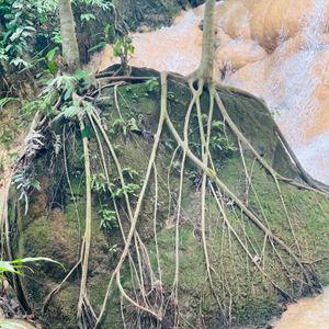 รูปภาพที่ 6