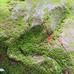 รูปภาพที่ 5