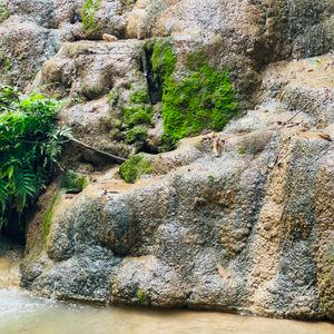 รูปภาพที่ 1