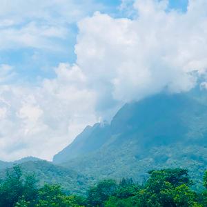 รูปภาพที่ 4