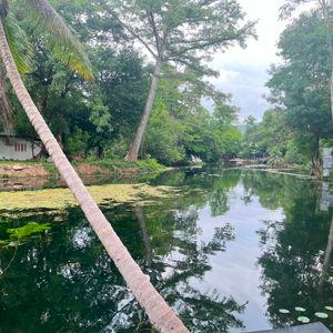 รูปภาพที่ 2