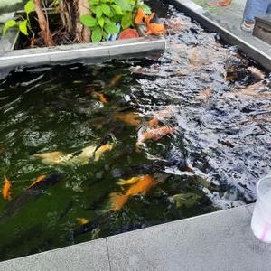 รูปภาพที่ 2