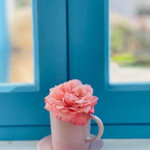 รูปภาพที่ 5