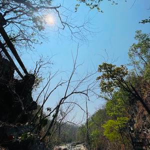 รูปภาพที่ 3