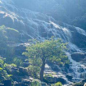 รูปภาพที่ 7