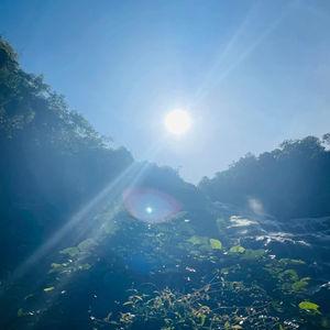 รูปภาพที่ 5