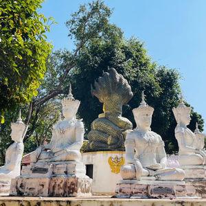 รูปภาพที่ 7