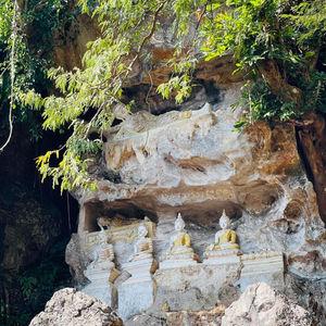 รูปภาพที่ 4