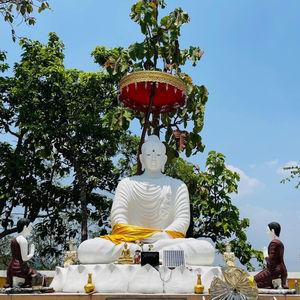 รูปภาพที่ 9