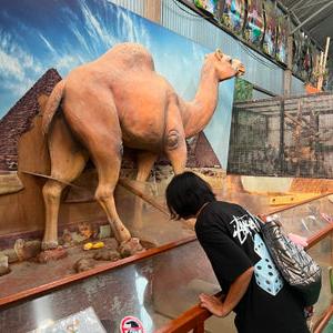 รูปภาพที่ 8